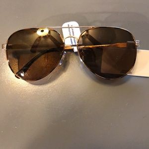 Riviera Polarized Gold Framed Aviator Sunglasses
